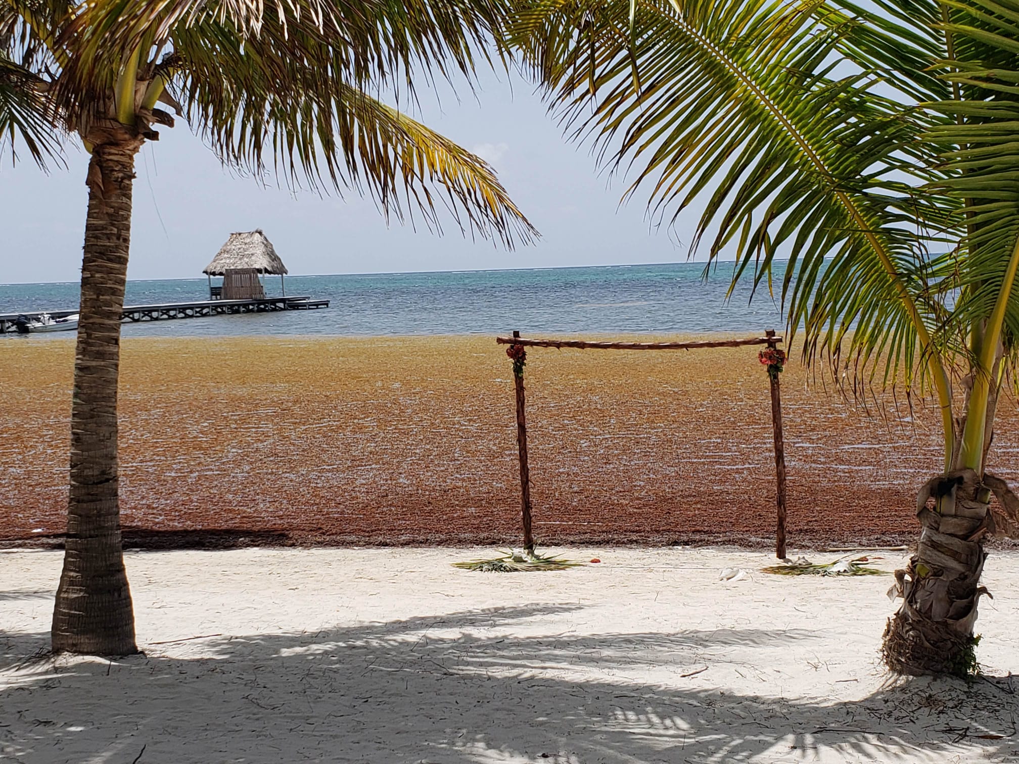 White sand beach with palm trees framing a turquoise sea, a thatched dock palapa, and a flower-draped wedding arch
